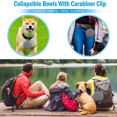 Rubber Foldable Double Pet Feeding Bowl - Image 6
